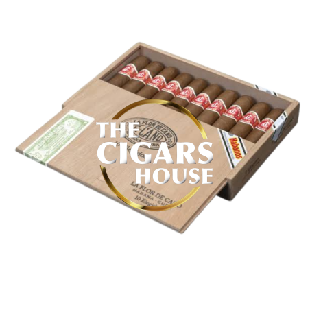 La Flor de Cano Elegidos | Box of 15 at The Cigars House