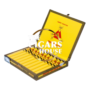 Montecristo Petit Tubos Box of 10 | The Cigars House