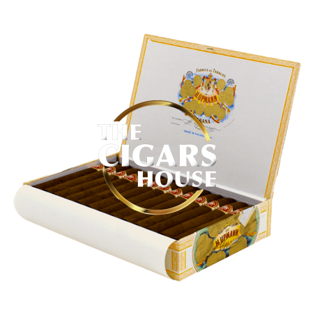 Buy H. Upmann No.2 - Cigars for Sale