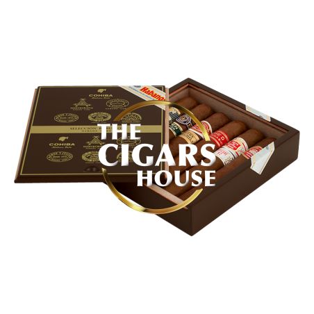 Buy Seleccion Robustos 2016 - Cigars for Sale
