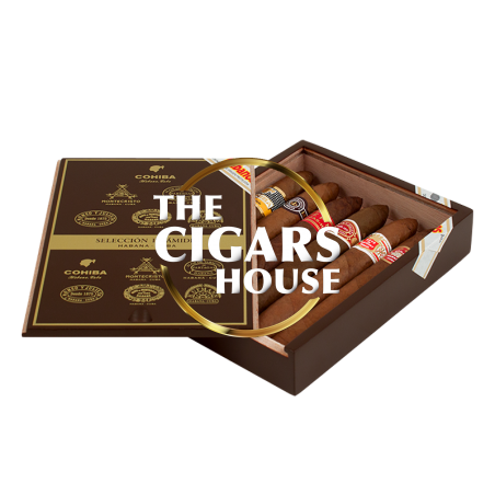 Buy Seleccion Piramides 2016 - Cigars Online Fast Delivery
