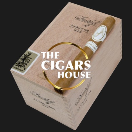 Buy Davidoff Signature 1000 - Shop Cigars Online