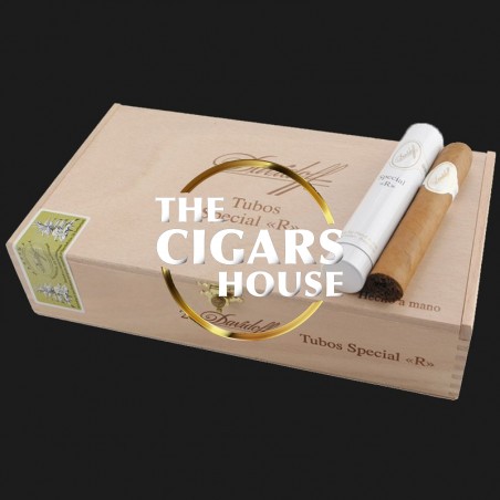 Buy Davidoff Special R Tubos - Cigars Online Fast Delivery