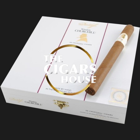 Buy Davidoff Winston Churchill Churchill - Cigars for Sale