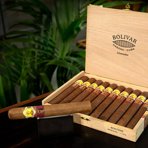 Bolivar Libertador LCDH