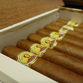 Bolivar Royal Coronas