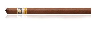 Cohiba Lanceros
