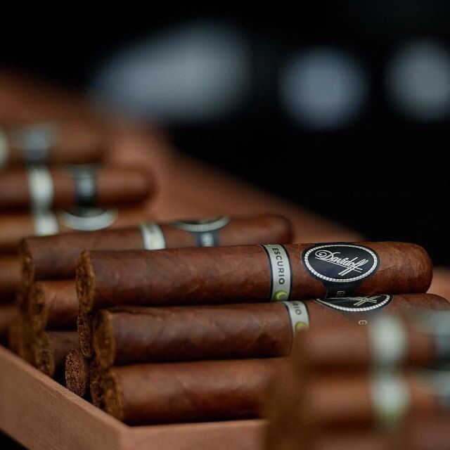 Davidoff Escurio Corona Gorda