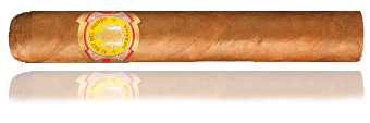 El Rey Del Mundo Choix Supreme