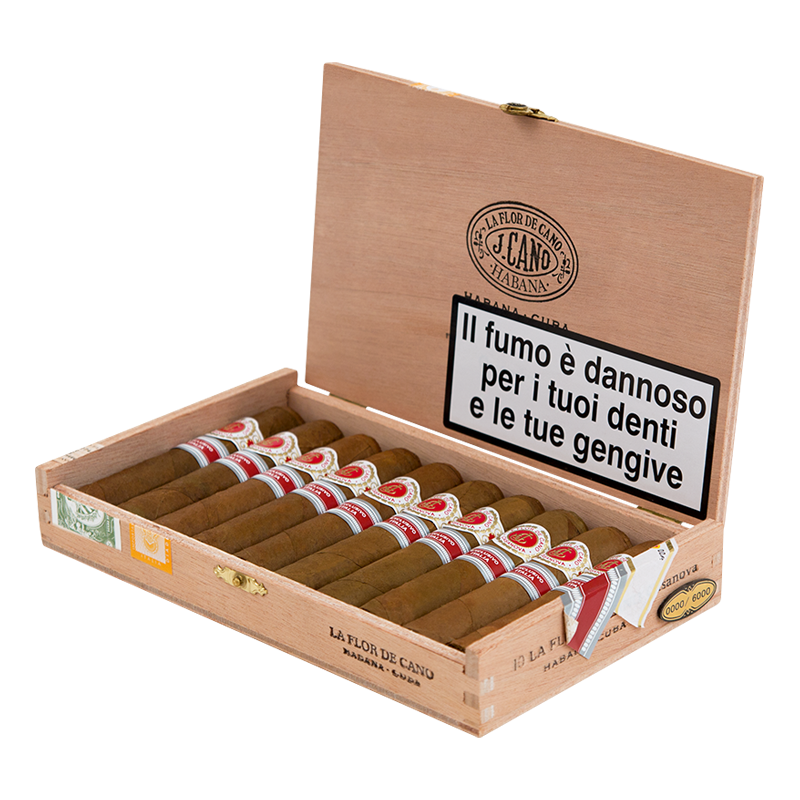 La Flor de Cano Casanova 2016 Italia