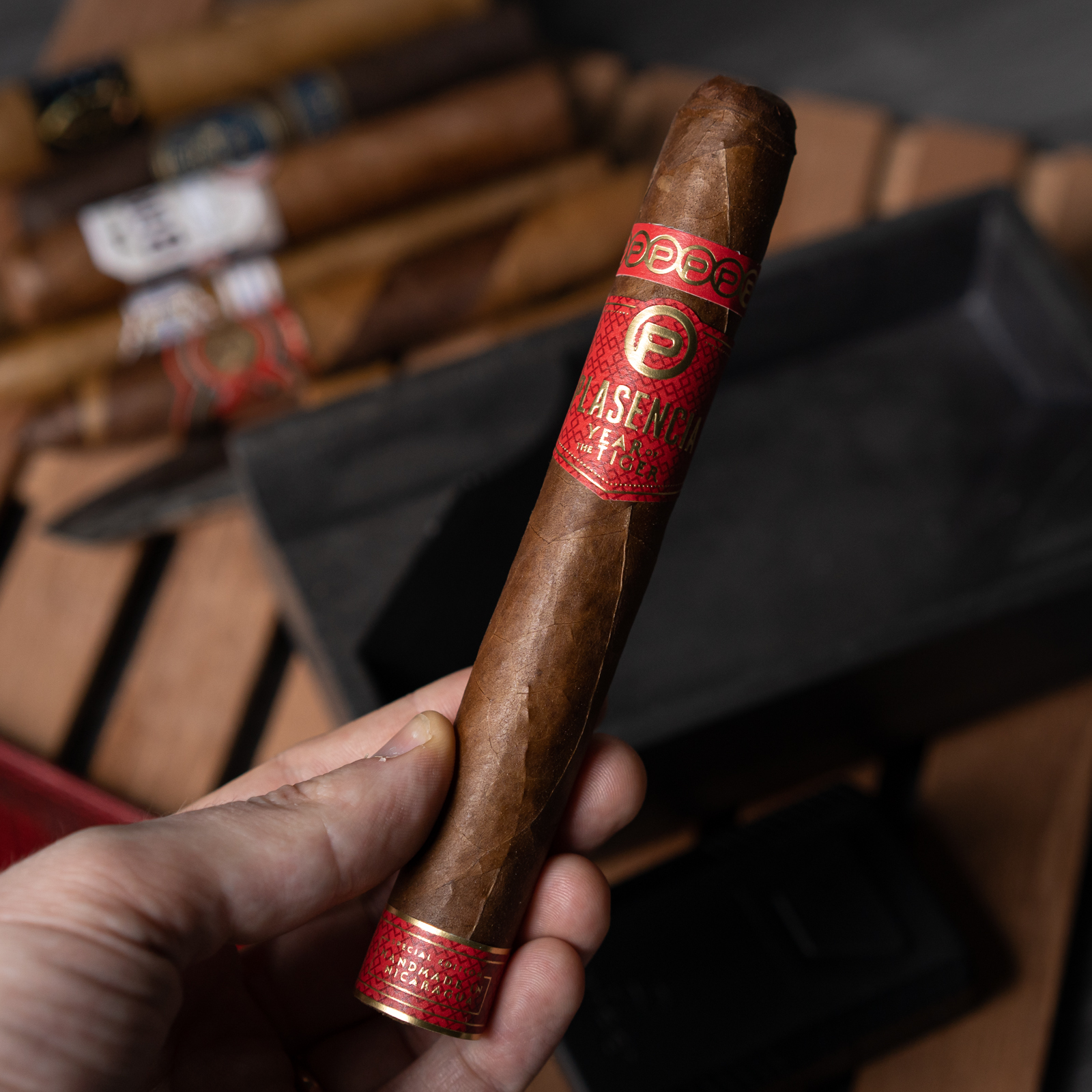 Plasencia Year of the Tiger