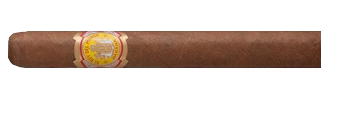 El Rey Del Mundo Demi Tasse