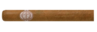 Sancho Panza Non Plus