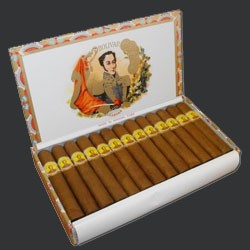 Bolivar Royal Coronas