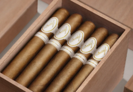 Davidoff 702 Series Grand Cru Robusto