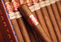 Partagas Lusitanias A Deep Dive into Flavor and Craftsmanship