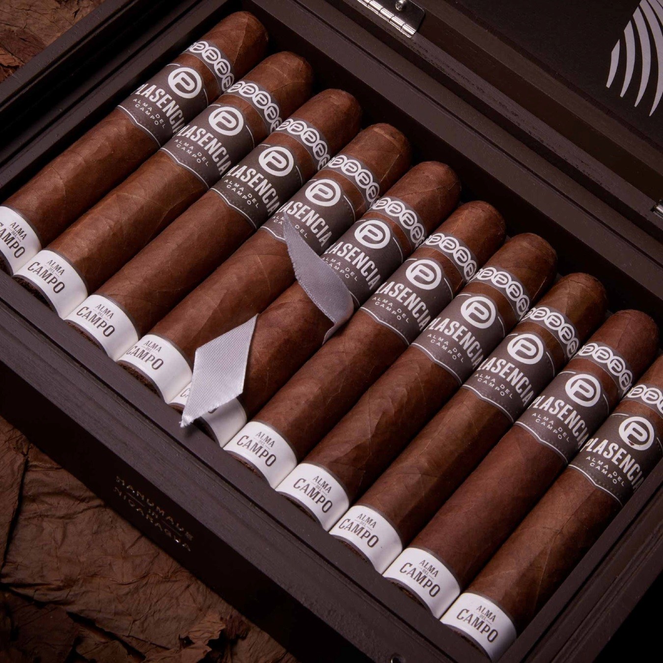 Plasencia Alma del Campo Guajiro Robusto Gordo