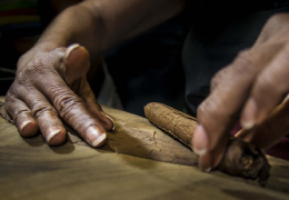 What is a Torcedor?